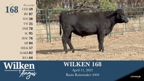 Lot #168 - WILKEN 168