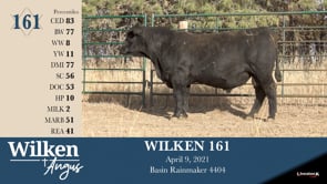 Lot #161 - WILKEN 161