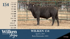 Lot #154 - WILKEN 154