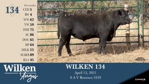Lot #134 - WILKEN 134