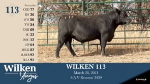 Lot #113 - WILKEN 113