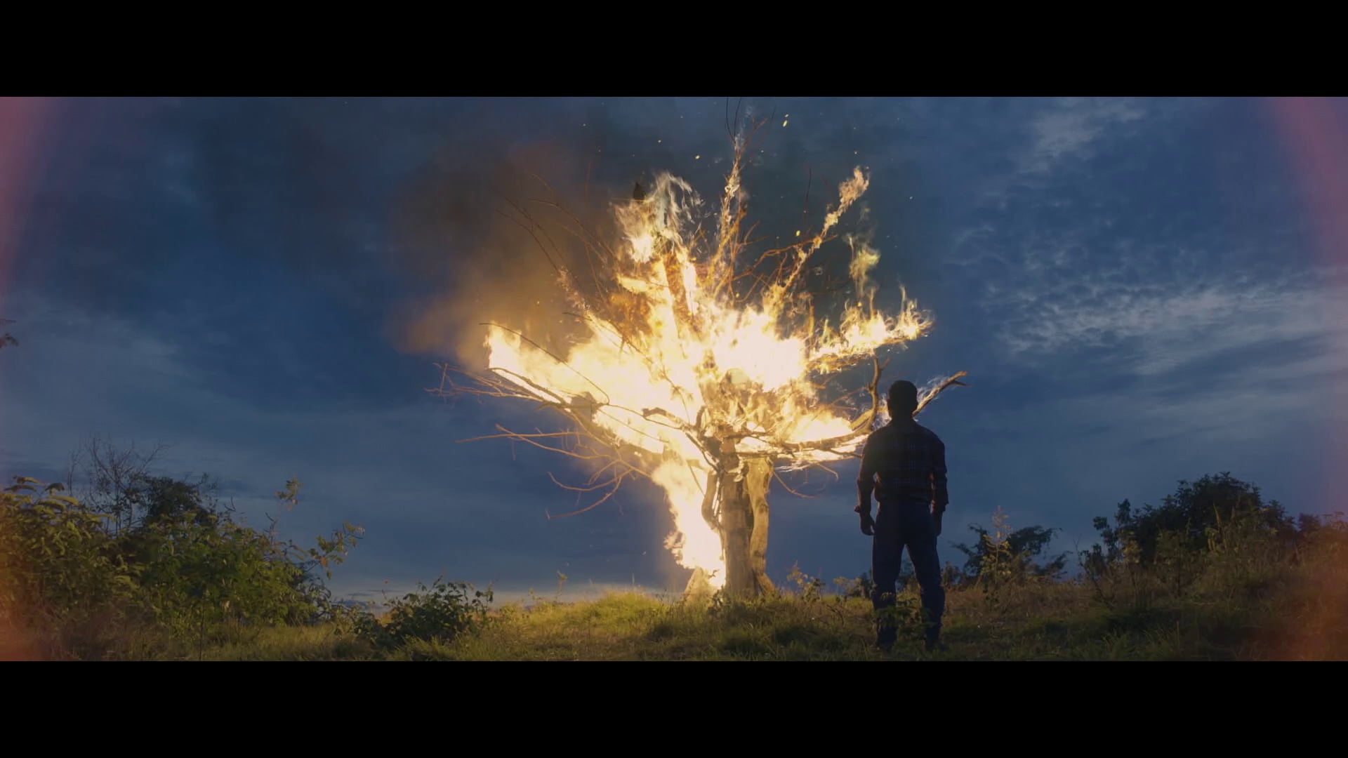Dop Reel / Narrative AFMD