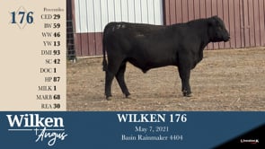 Lot #176 - WILKEN 176