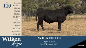 Lot #110 - WILKEN 110