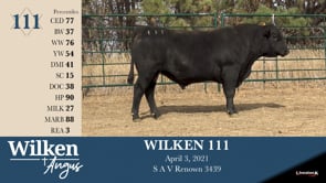 Lot #111 - WILKEN 111