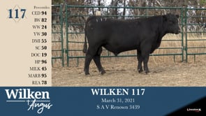 Lot #117 - WILKEN 117
