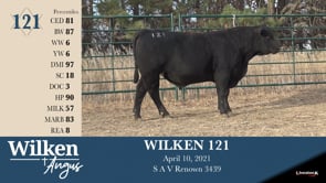 Lot #121 - WILKEN 121