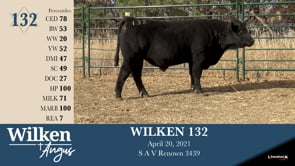 Lot #132 - WILKEN 132