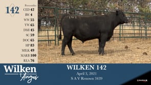 Lot #142 - WILKEN 142
