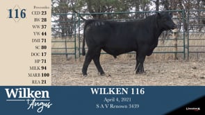 Lot #116 - WILKEN 116