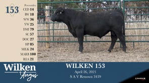 Lot #153 - WILKEN 153