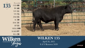 Lot #135 - WILKEN 135