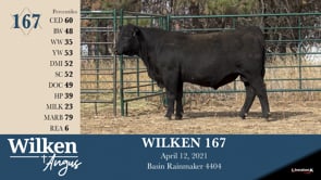 Lot #167 - WILKEN 167
