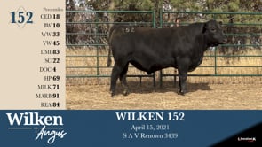 Lot #152 - WILKEN 152
