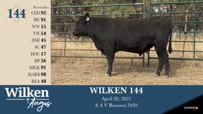 Lot #144 - WILKEN 144