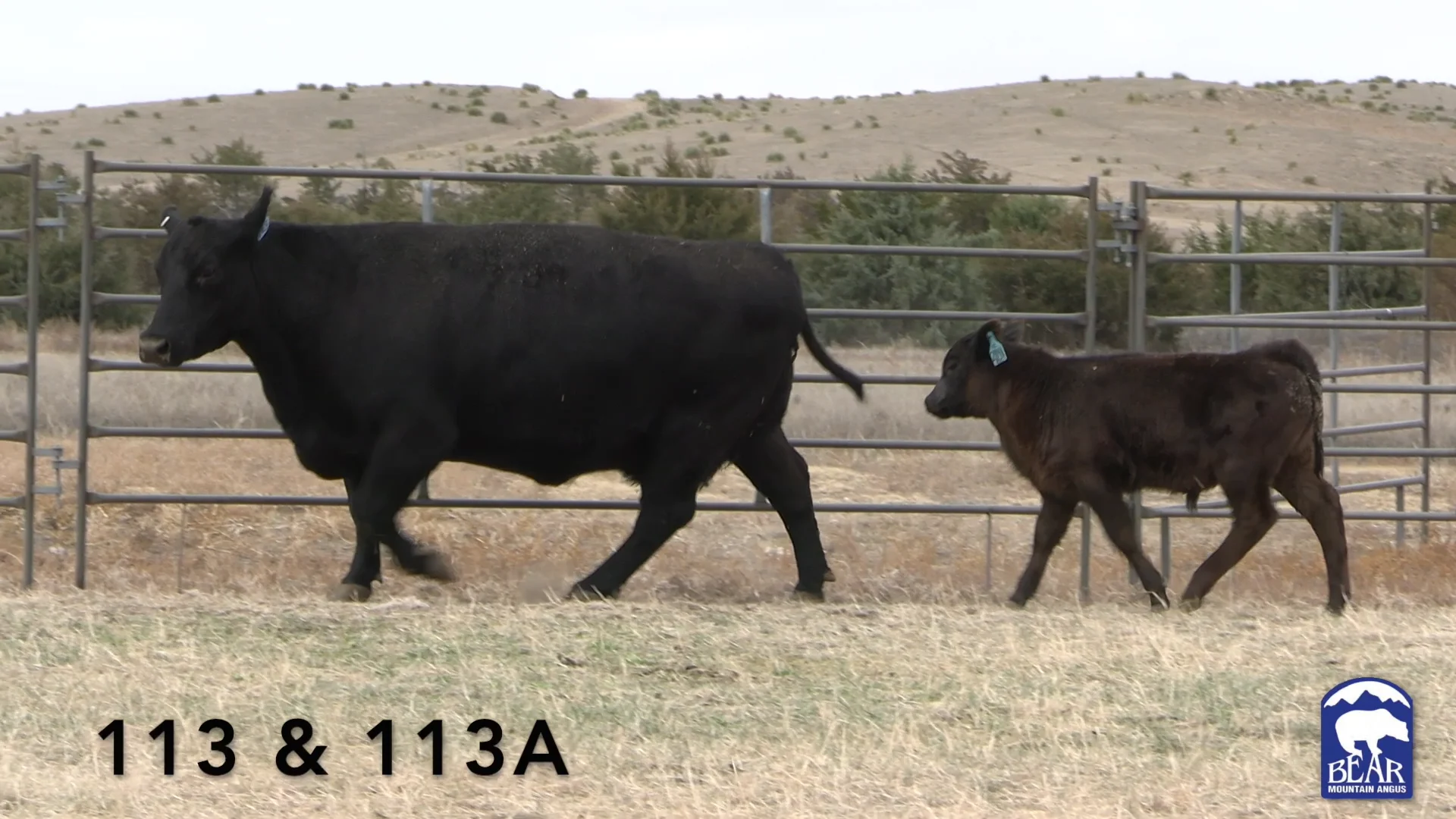 113 & 113A.mp4 on Vimeo