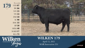 Lot #179 - WILKEN 179