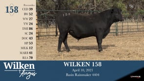Lot #158 - WILKEN 158