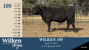Lot #109 - WILKEN 109