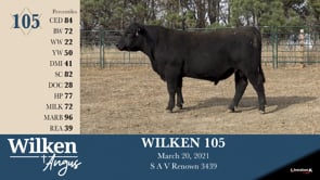 Lot #105 - WILKEN 105