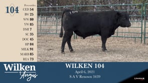 Lot #104 - WILKEN 104