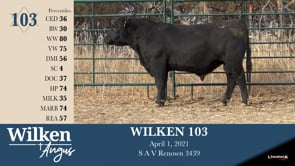 Lot #103 - WILKEN 103