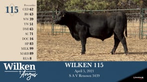 Lot #115 - WILKEN 115
