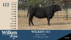 Lot #112 - WILKEN 112