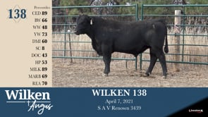 Lot #138 - WILKEN 138