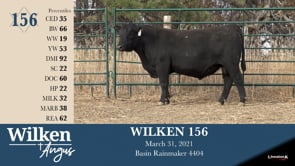 Lot #156 - WILKEN 156