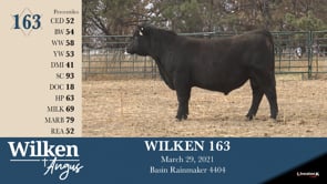 Lot #163 - WILKEN 163