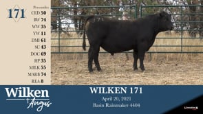 Lot #171 - WILKEN 171