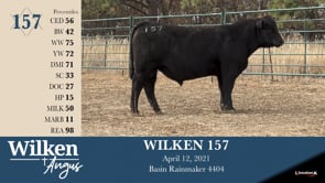 Lot #157 - WILKEN 157