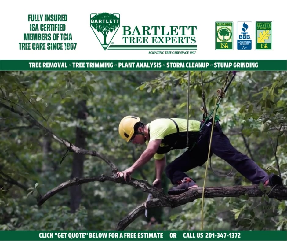 Bartlett Tree Experts Highlight Reel.mp4 on Vimeo