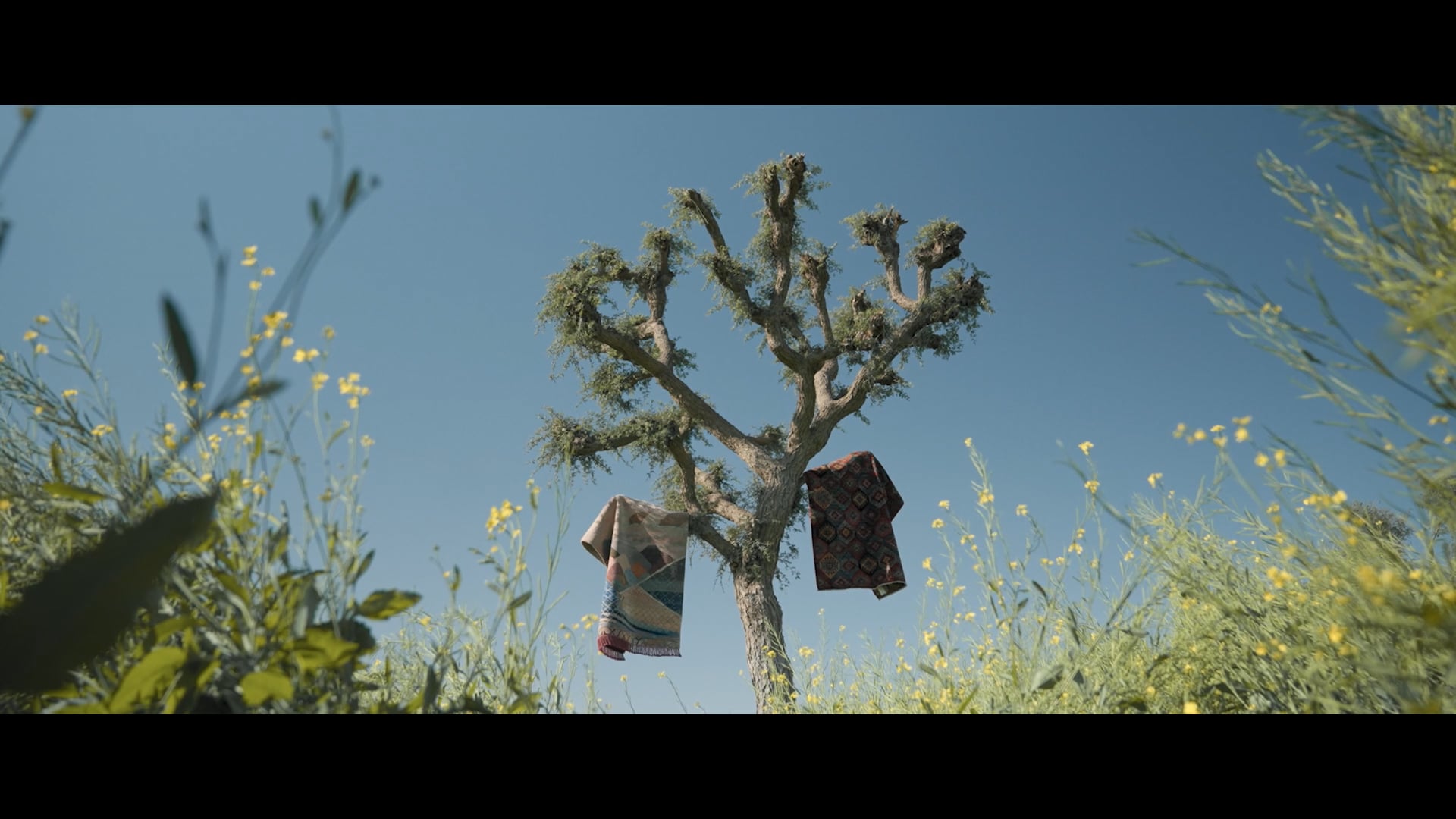 Lift The Veil - Jaipur Rugs (Brand Documentary)