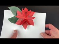 Poinsettia pop-up card