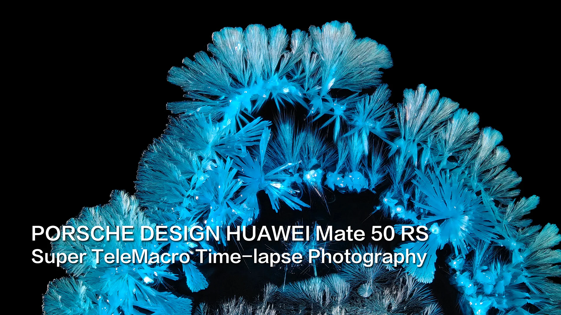 HUAWEI Mate 50 RS Super TeleMacro Time-lapse Photography — Beauty