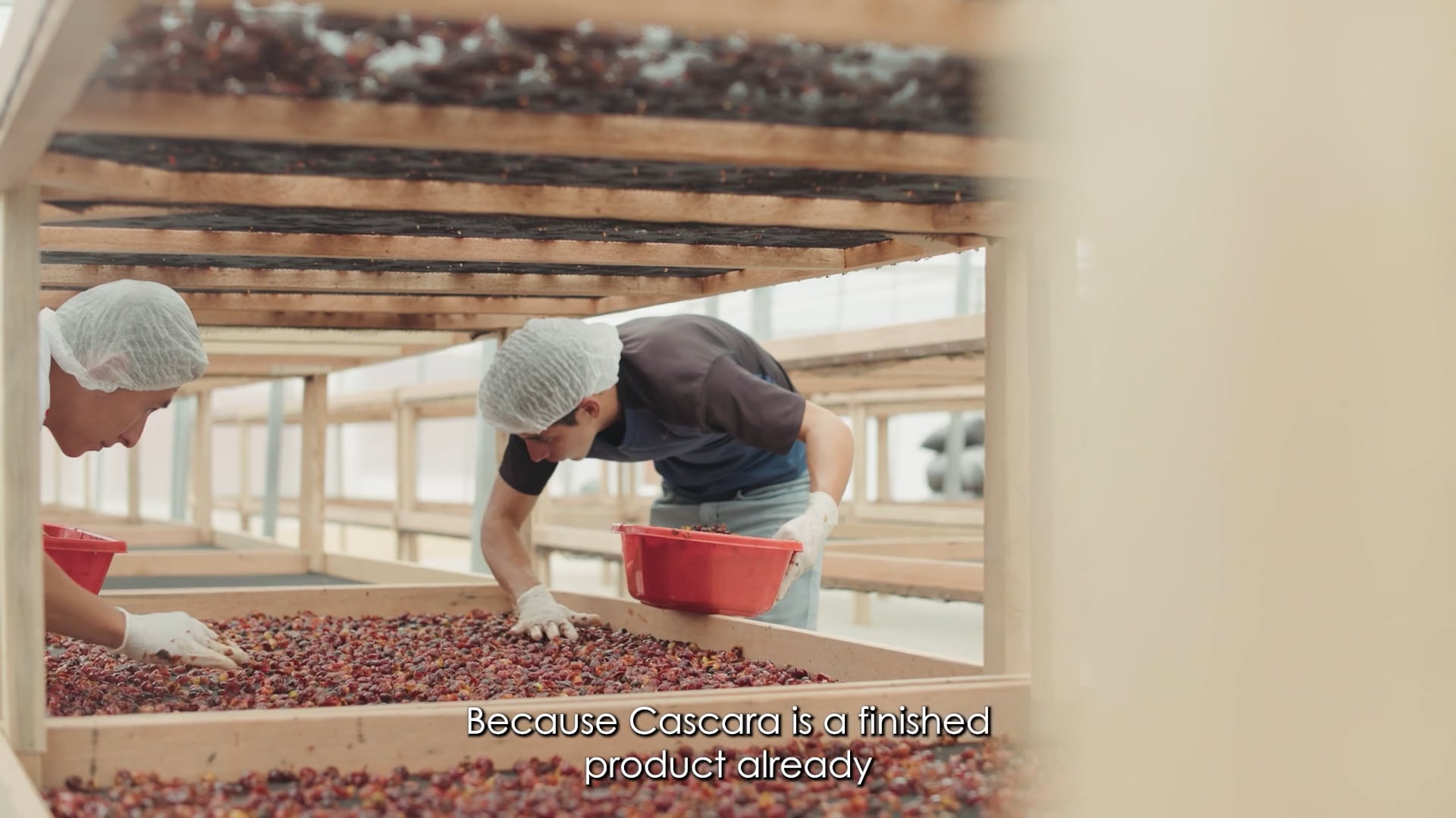 Ofi - Cascara Project