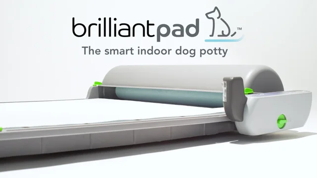 Brilliantpad deals