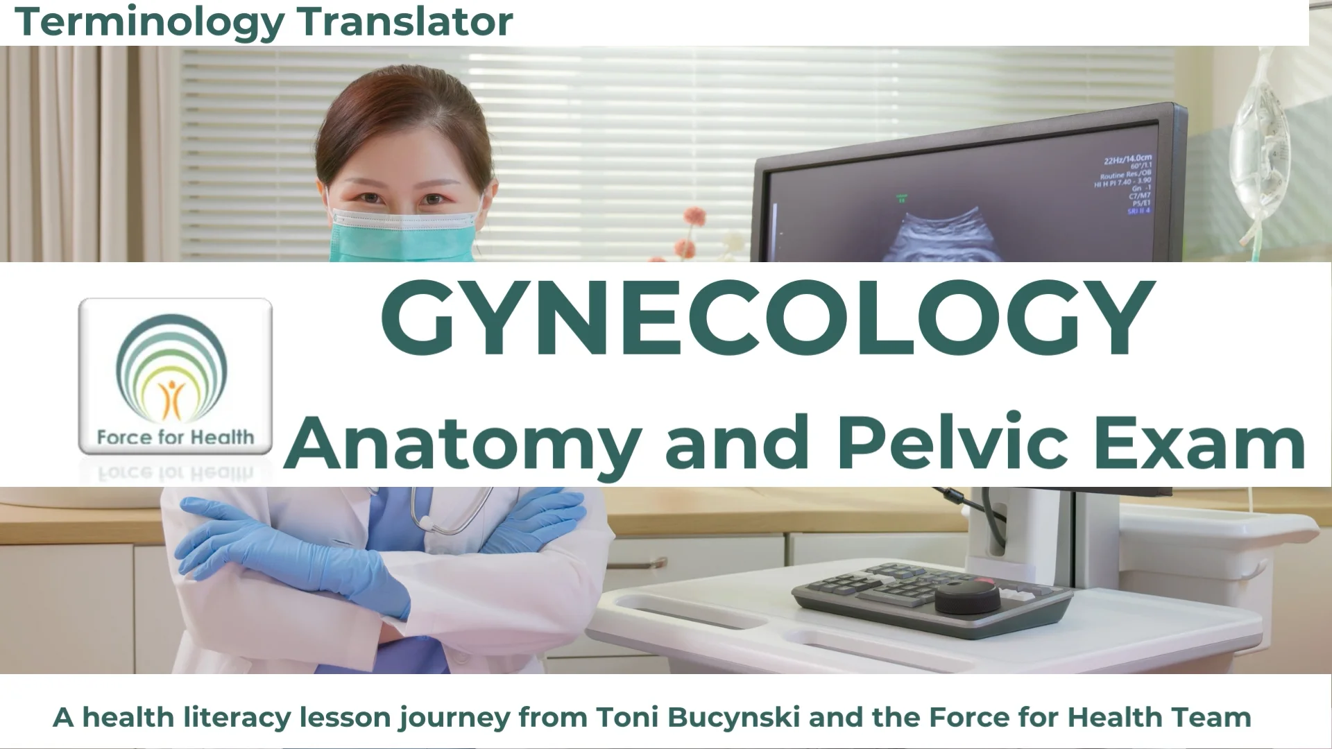 Gynecology Anatomy and Pelvic Exam Terminology Translator
