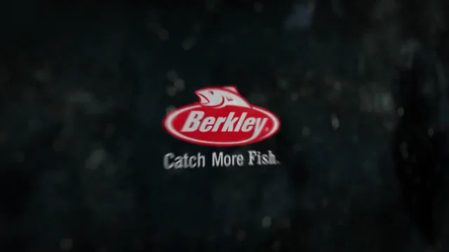 Berkley's New Speed Boss