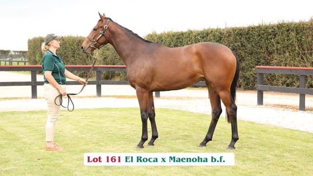 Lot 161