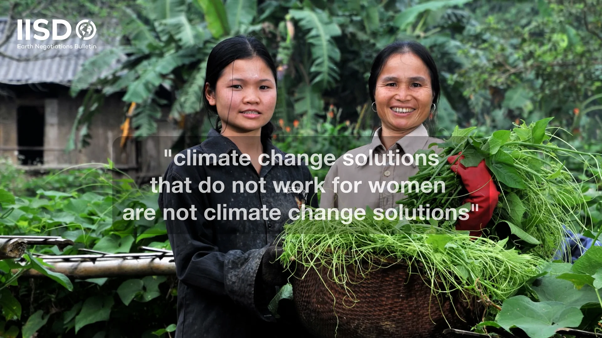 Yangi jinsiy multfilmlar