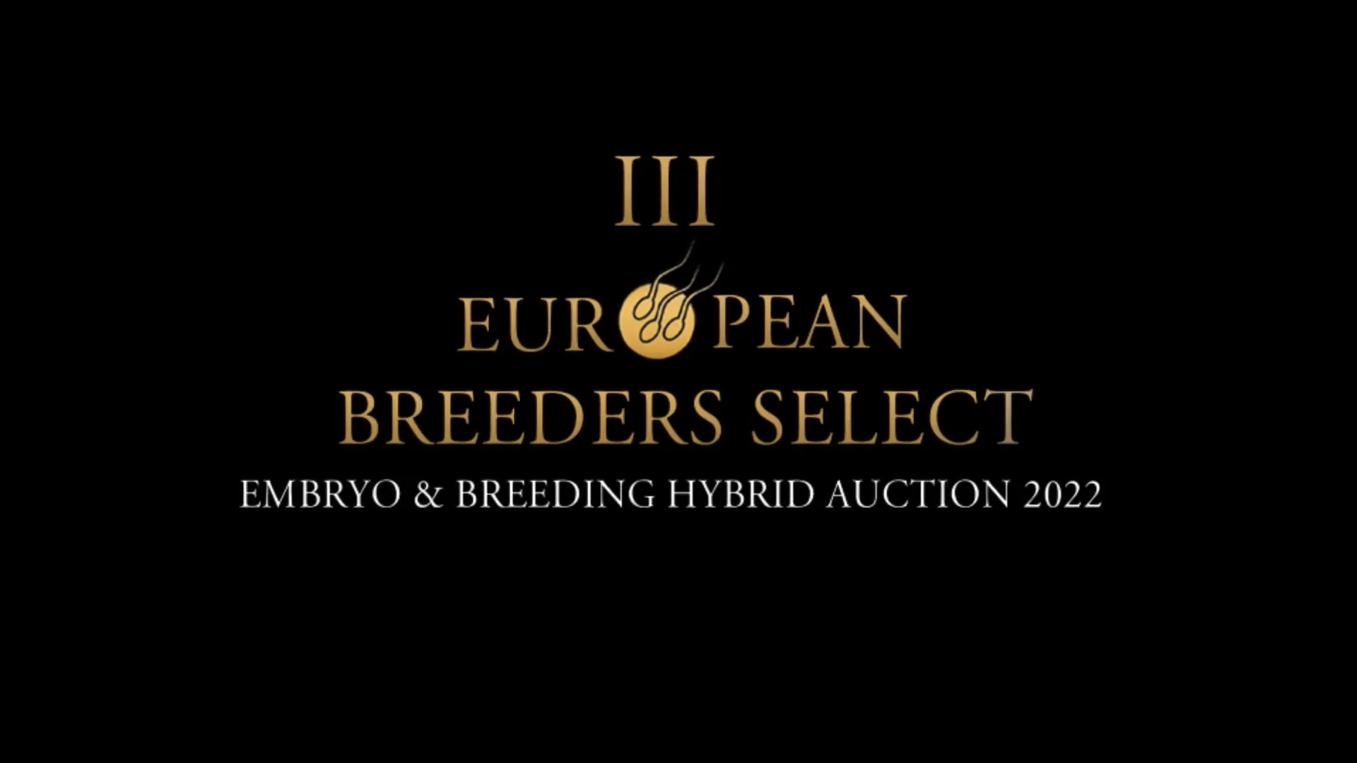 LOT 2 Perfinka_ EBS EMBRYO & BREEDING AUCTION PARIS on Vimeo