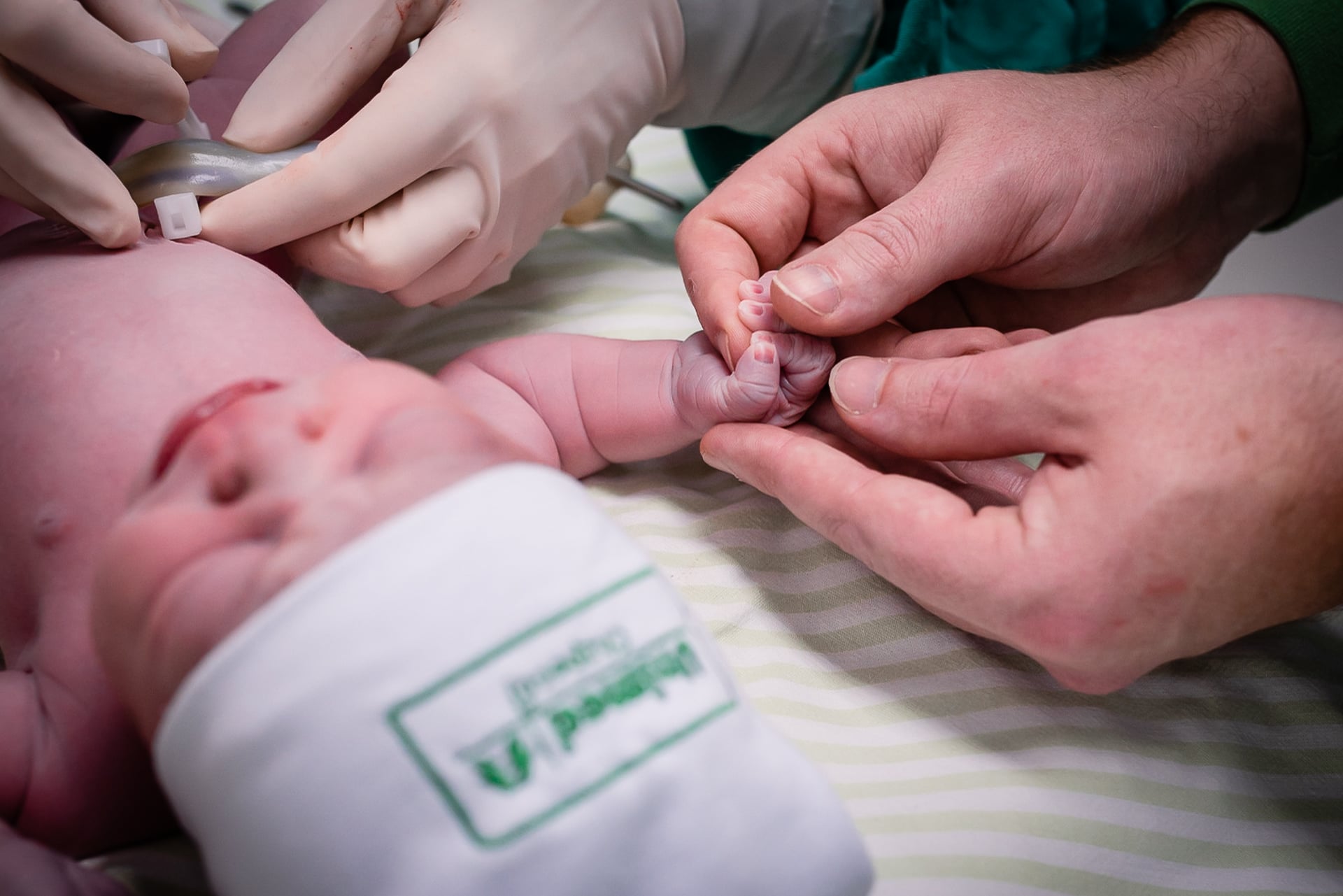 Nascimento Davi Miguel