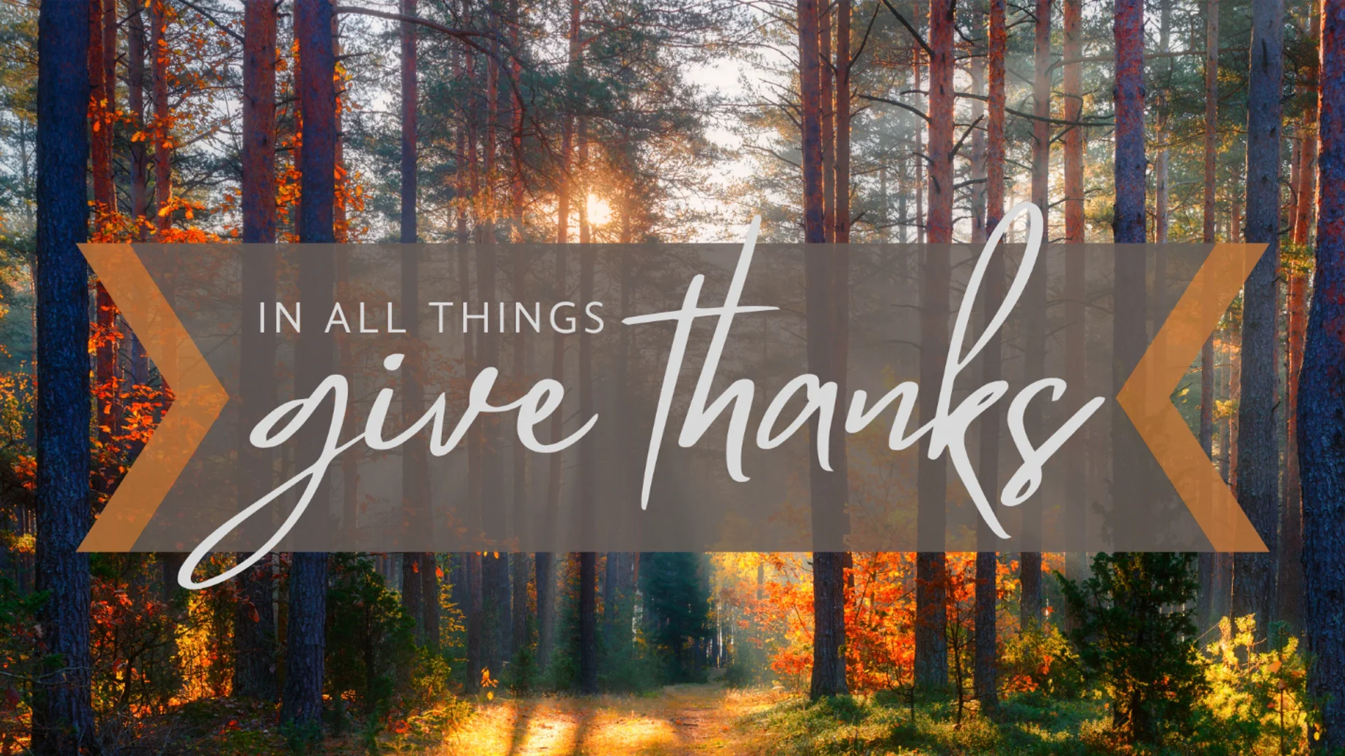 Thanksgiving In the Trials on Vimeo