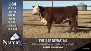 Lot #184 - FHF 84E RENAE 14J
