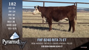 Lot #182 - FHF 8240 RITA 7J ET