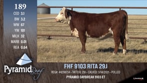 Lot #189 - FHF 9103 RITA 29J