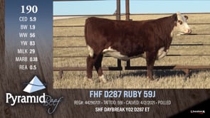 Lot #190 - FHF D287 RUBY 59J